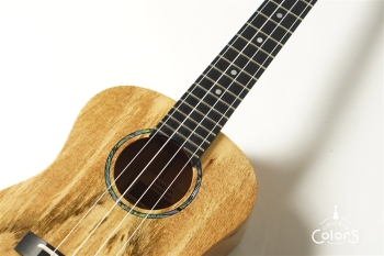 Romero Concert Spalted Mango